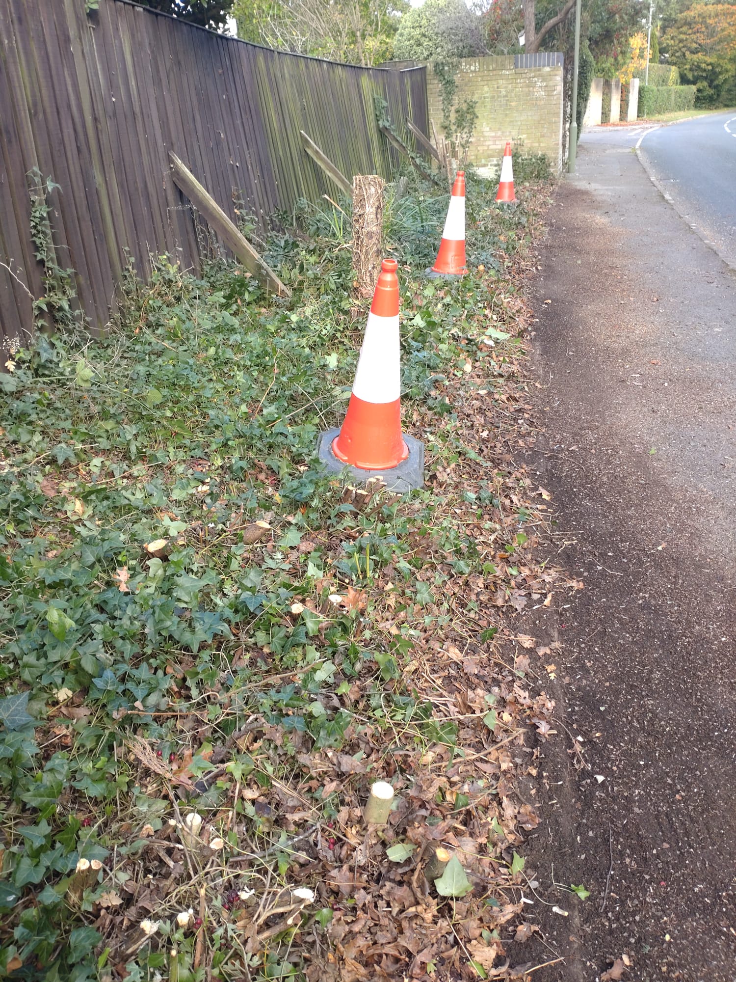 Verge Clearance - Before